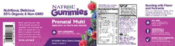 Natrol Gummies Prenatal Multi - supplement