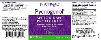 Natrol Pycnogenol 50 mg - supplement