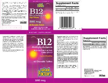 Natural Factors B12 Methylcobalamin High Potency 5000 mcg - supplement