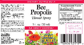 Natural Factors Bee Propolis Throat Spray - supplement