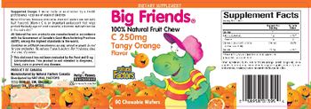 Natural Factors Big Friends 100% Natural Fruit Chew C 250 mg Tangy Orange Flavor - supplement