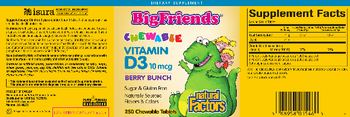 Natural Factors Big Friends Chewable Vitamin D3 10 mcg Berry Bunch - supplement