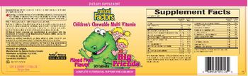 Natural Factors Big Friends Children's Chewable Multi Vitamin Mixed Fruit Flavor - supplement