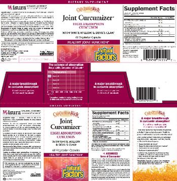 Natural Factors CurcuminRich Joint Curcumizer - supplement