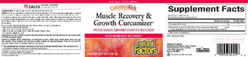 Natural Factors CurcuminRich Muscle Recovery & Growth Curcumizer - supplement