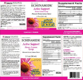 Natural Factors Echinamide Active Support Honey Lemon Syrup - supplement