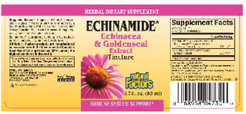 Natural Factors Echinamide Echinacea & Goldenseal Extract Tincture - herbal supplement