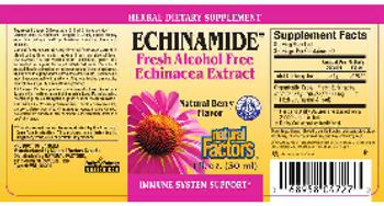 Natural Factors Echinamide Fresh Alcohol Free Echinacea Extract Natural Berry Flavor - herbal supplement