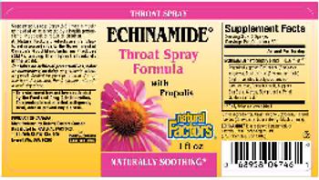 Natural Factors Echinamide Throat Spray Formula With Propolis - 