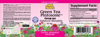 Natural Factors Green Tea Phytosome - supplement
