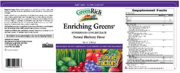 Natural Factors GreenRich Enriching Greens Natural Blueberry Flavor - supplement