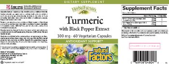 Natural Factors Herbal Factors Turmeric with Black Pepper Extract 300 mg - supplement