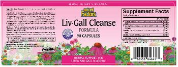 Natural Factors Liv-Gall Cleanse Formula - herbal supplement