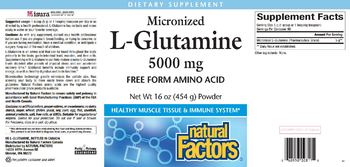 Natural Factors Micronized L-Glutamine 5000 mg Powder - supplement