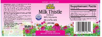Natural Factors Milk Thistle Extract 80% Silymarin - supplement