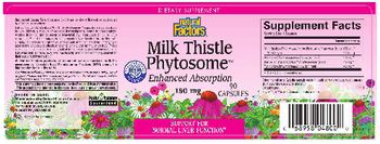 Natural Factors Milk Thistle Phytosome - supplement