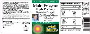 Natural Factors Multi Enzyme High Potency Vegetarian Formula - supplement