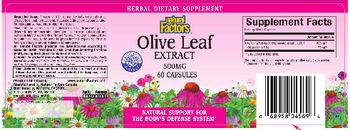 Natural Factors Olive Leaf Extract 500 mg - herbal supplement