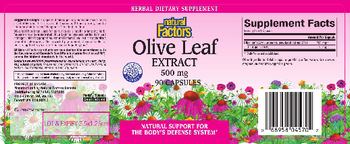 Natural Factors Olive Leaf Extract 500 mg - herbal supplement