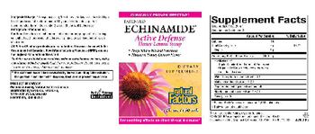 Natural Factors Patented Echinamide Active Defense Honey Lemon Syrup - supplement