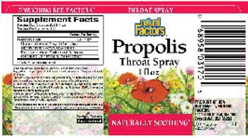 Natural Factors Propolis Throat Spray - 