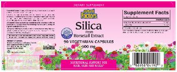 Natural Factors Silica From Horsetail Extract - supplement