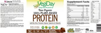 Natural Factors VegiDay Raw Organic 100% Plant-Based Protein Decadent Chocolate - supplement