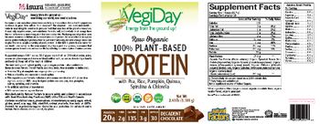 Natural Factors VegiDay Raw Organic 100% Plant-Based Protein Decadent Chocolate - supplement