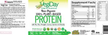 Natural Factors VegiDay Raw Organic 100% Plant-Based Protein Natural Unflavored - supplement