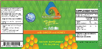 Natural Ginger Corp. Naturgin Syrup - supplement