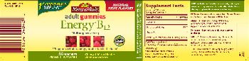 Nature Made Adult Gummies Energy B12 1000 mcg - vitamin b12 supplement