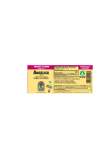 Nature's Answer Angelica Root - herbal supplement