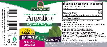 Nature's Answer Anglelica 4,000 mg - herbal supplement
