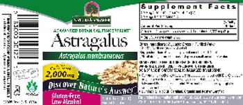 Nature's Answer Astragalus 2,000 mg - herbal supplement