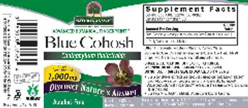 Nature's Answer Blue Cohosh 1,000 mg - herbal supplement
