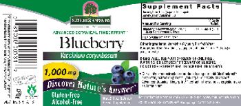 Nature's Answer Blueberry 1,000 mg Alcohol-Free - herbal supplement