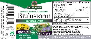 Nature's Answer Brainstorm Alcohol-Free - herbal supplement