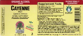 Nature's Answer Cayenne Fruit - herbal supplement