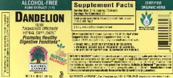Nature's Answer Dandelion Root Alcohol-Free - herbal supplement
