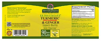 Nature's Answer Extractacaps Turmeric (95% Curcuminoids) & Ginger - supplement