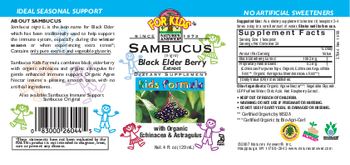 Nature's Answer For Kids Sambucus (Nigra) Black Elder Berry Extract - supplement