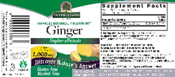 Nature's Answer Ginger 1,000 mg Alcohol-Free - herbal supplement
