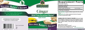 Nature's Answer Ginger 1,100 mg - supplement