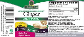 Nature's Answer Ginger 250 mg - herbal supplement