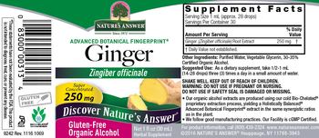 Nature's Answer Ginger 250 mg Organic Alcohol - herbal supplement