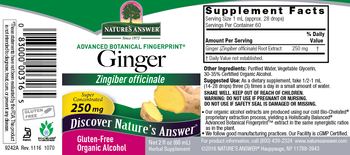 Nature's Answer Ginger 250 mg Organic Alcohol - herbal supplement