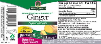 Nature's Answer Ginger 250 mg - herbal supplement