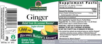 Nature's Answer Ginger Alcohol-Free - herbal supplement