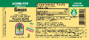 Nature's Answer Ginger Root Alcohol-Free - herbal supplement