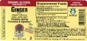 Nature's Answer Ginger Root - herbal supplement